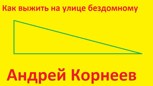 Обложка произведения Как выжить на улице бездомному